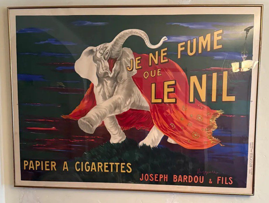 elephant elephant